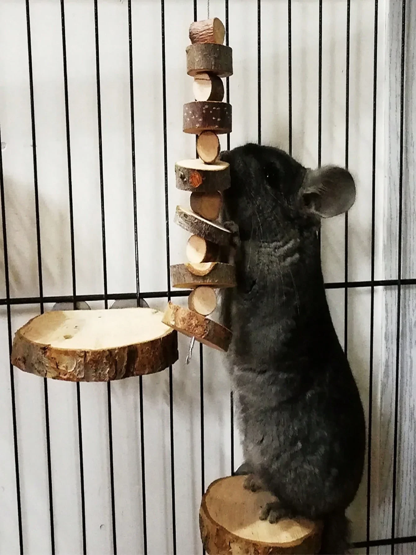 Woodworking Rabbet - ハムスター、ウサギ、チンチラ、モルモット、リスなどの小動物用の天然木製おもちゃ、歯ぎしりおもちゃ、ペット用品