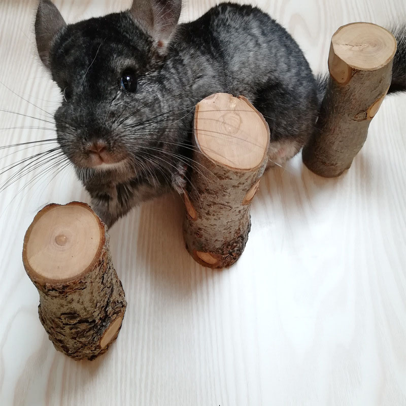Woodworking Rabbet - ペットハムスターのおもちゃ天然リンゴの木の枝歯ぎしり遊び立ちケージおもちゃウサギチンチラ小動物用品新しい