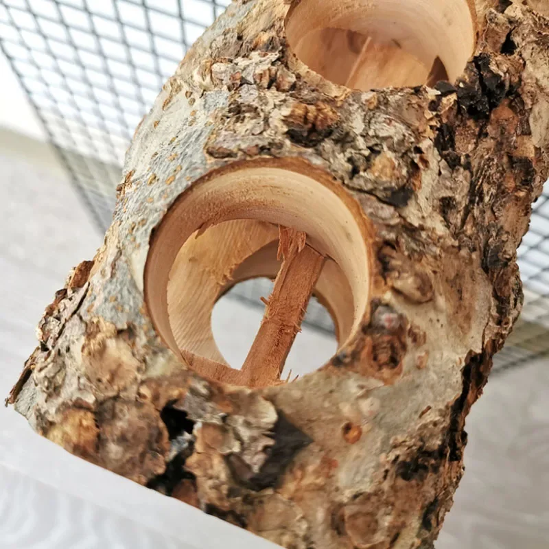 ペットハムスターのおもちゃ天然リンゴの木の枝歯研削再生立ちケ - Woodworking Rabbet のレビューと価格