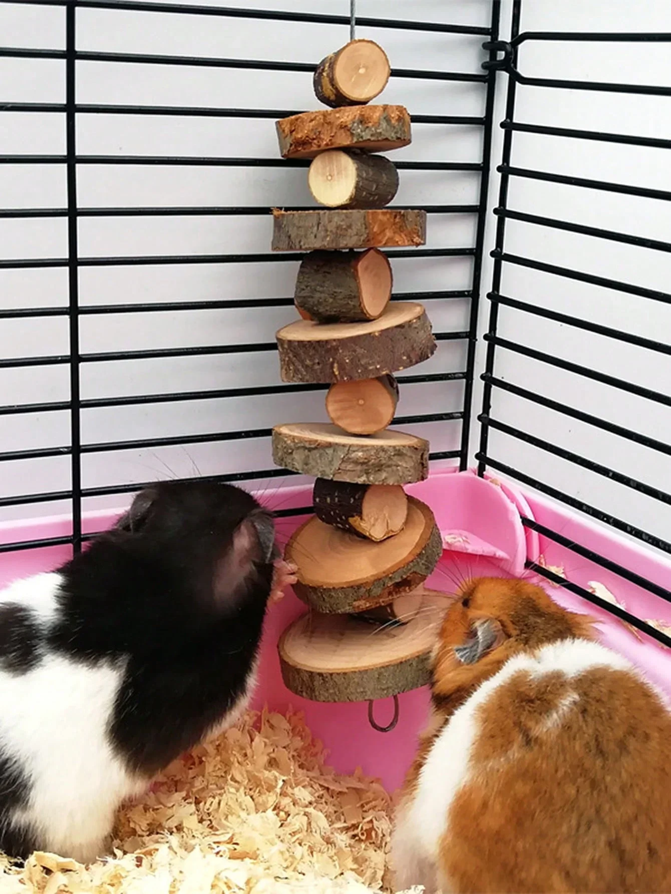 ハムスター、ウサギ、チンチラ、モルモット、リスなどの小動物用 - Woodworking Rabbet のレビューと価格