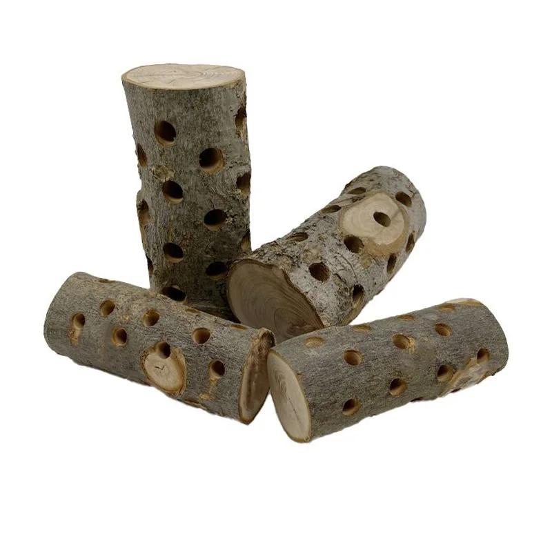 小動物用噛むおもちゃ 天然リンゴの木 ウサギ ハムスター オ - Woodworking Rabbet のレビューと価格