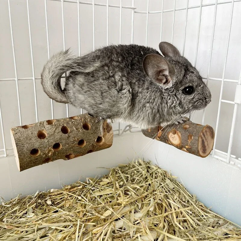 小動物用噛むおもちゃ 天然リンゴの木 ウサギ ハムスター オ - Woodworking Rabbet のレビューと価格